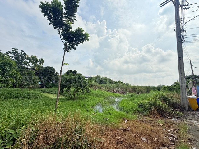 ประกาศฟรี! ซื้อ-ขาย-เช่า คอนโด บ้าน ทาวน์โฮม ที่ดิน และพื้นที่เชิงพาณิชย์ทั่วประเทศไทย ทุกทำเล ทุกงบประมาณ ไม่มีค่าใช้จ่าย ลงง่าย ขายไว เข้าถึงผู้ซื้อโดยตรง 3 227194pic2.jpg