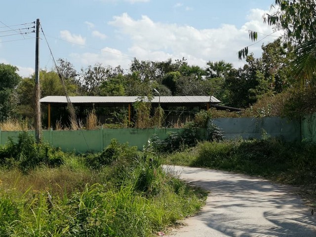 ประกาศฟรี! ซื้อ-ขาย-เช่า คอนโด บ้าน ทาวน์โฮม ที่ดิน และพื้นที่เชิงพาณิชย์ทั่วประเทศไทย ทุกทำเล ทุกงบประมาณ ไม่มีค่าใช้จ่าย ลงง่าย ขายไว เข้าถึงผู้ซื้อโดยตรง 2 261894pic1.jpg