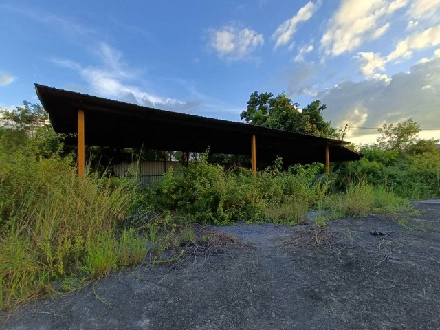 ประกาศฟรี! ซื้อ-ขาย-เช่า คอนโด บ้าน ทาวน์โฮม ที่ดิน และพื้นที่เชิงพาณิชย์ทั่วประเทศไทย ทุกทำเล ทุกงบประมาณ ไม่มีค่าใช้จ่าย ลงง่าย ขายไว เข้าถึงผู้ซื้อโดยตรง 3 261894pic2.jpg