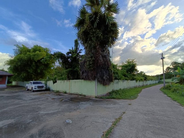 ประกาศฟรี! ซื้อ-ขาย-เช่า คอนโด บ้าน ทาวน์โฮม ที่ดิน และพื้นที่เชิงพาณิชย์ทั่วประเทศไทย ทุกทำเล ทุกงบประมาณ ไม่มีค่าใช้จ่าย ลงง่าย ขายไว เข้าถึงผู้ซื้อโดยตรง 5 261894pic4.jpg