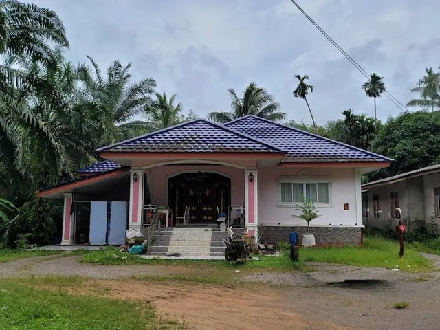 ประกาศฟรี! ซื้อ-ขาย-เช่า คอนโด บ้าน ทาวน์โฮม ที่ดิน และพื้นที่เชิงพาณิชย์ทั่วประเทศไทย ทุกทำเล ทุกงบประมาณ ไม่มีค่าใช้จ่าย ลงง่าย ขายไว เข้าถึงผู้ซื้อโดยตรง 2 261942pic1.jpg