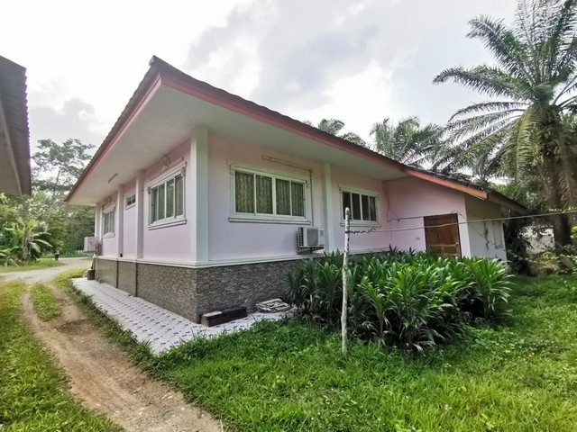 ประกาศฟรี! ซื้อ-ขาย-เช่า คอนโด บ้าน ทาวน์โฮม ที่ดิน และพื้นที่เชิงพาณิชย์ทั่วประเทศไทย ทุกทำเล ทุกงบประมาณ ไม่มีค่าใช้จ่าย ลงง่าย ขายไว เข้าถึงผู้ซื้อโดยตรง 3 261942pic2.jpg