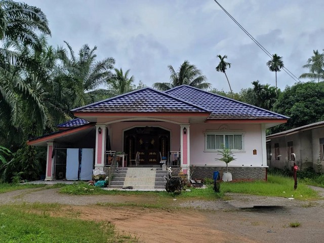 ประกาศฟรี! ซื้อ-ขาย-เช่า คอนโด บ้าน ทาวน์โฮม ที่ดิน และพื้นที่เชิงพาณิชย์ทั่วประเทศไทย ทุกทำเล ทุกงบประมาณ ไม่มีค่าใช้จ่าย ลงง่าย ขายไว เข้าถึงผู้ซื้อโดยตรง 4 261942pic3.jpg