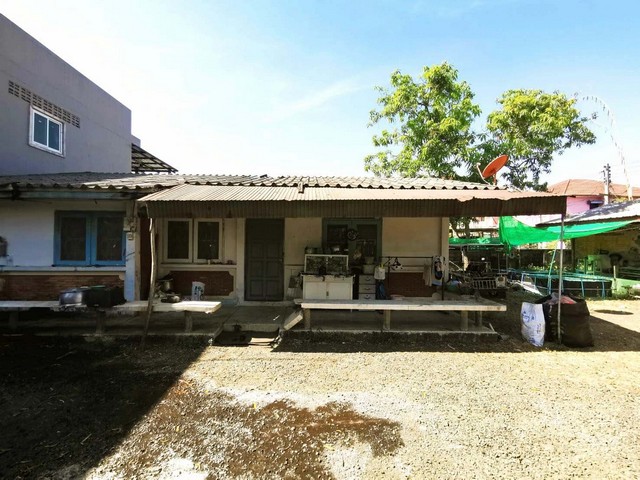 ประกาศฟรี! ซื้อ-ขาย-เช่า คอนโด บ้าน ทาวน์โฮม ที่ดิน และพื้นที่เชิงพาณิชย์ทั่วประเทศไทย ทุกทำเล ทุกงบประมาณ ไม่มีค่าใช้จ่าย ลงง่าย ขายไว เข้าถึงผู้ซื้อโดยตรง 5 261893pic4.jpg