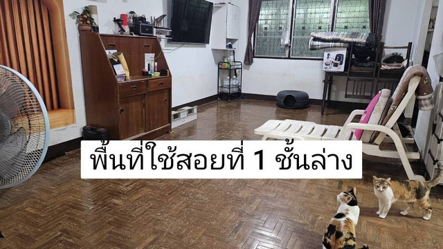 ประกาศฟรี! ซื้อ-ขาย-เช่า คอนโด บ้าน ทาวน์โฮม ที่ดิน และพื้นที่เชิงพาณิชย์ทั่วประเทศไทย ทุกทำเล ทุกงบประมาณ ไม่มีค่าใช้จ่าย ลงง่าย ขายไว เข้าถึงผู้ซื้อโดยตรง 5 262036pic4.jpg