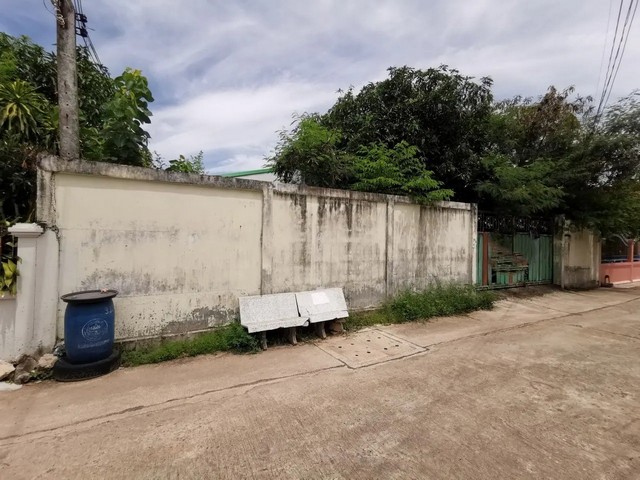 ประกาศฟรี! ซื้อ-ขาย-เช่า คอนโด บ้าน ทาวน์โฮม ที่ดิน และพื้นที่เชิงพาณิชย์ทั่วประเทศไทย ทุกทำเล ทุกงบประมาณ ไม่มีค่าใช้จ่าย ลงง่าย ขายไว เข้าถึงผู้ซื้อโดยตรง 2 259891pic1.jpg