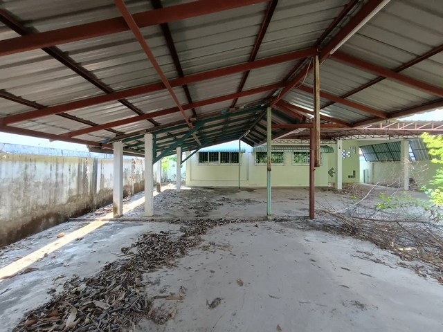 ประกาศฟรี! ซื้อ-ขาย-เช่า คอนโด บ้าน ทาวน์โฮม ที่ดิน และพื้นที่เชิงพาณิชย์ทั่วประเทศไทย ทุกทำเล ทุกงบประมาณ ไม่มีค่าใช้จ่าย ลงง่าย ขายไว เข้าถึงผู้ซื้อโดยตรง 5 259891pic4.jpg