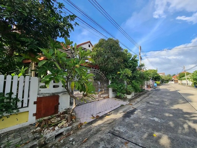 ประกาศฟรี! ซื้อ-ขาย-เช่า คอนโด บ้าน ทาวน์โฮม ที่ดิน และพื้นที่เชิงพาณิชย์ทั่วประเทศไทย ทุกทำเล ทุกงบประมาณ ไม่มีค่าใช้จ่าย ลงง่าย ขายไว เข้าถึงผู้ซื้อโดยตรง 3 259889pic2.jpg