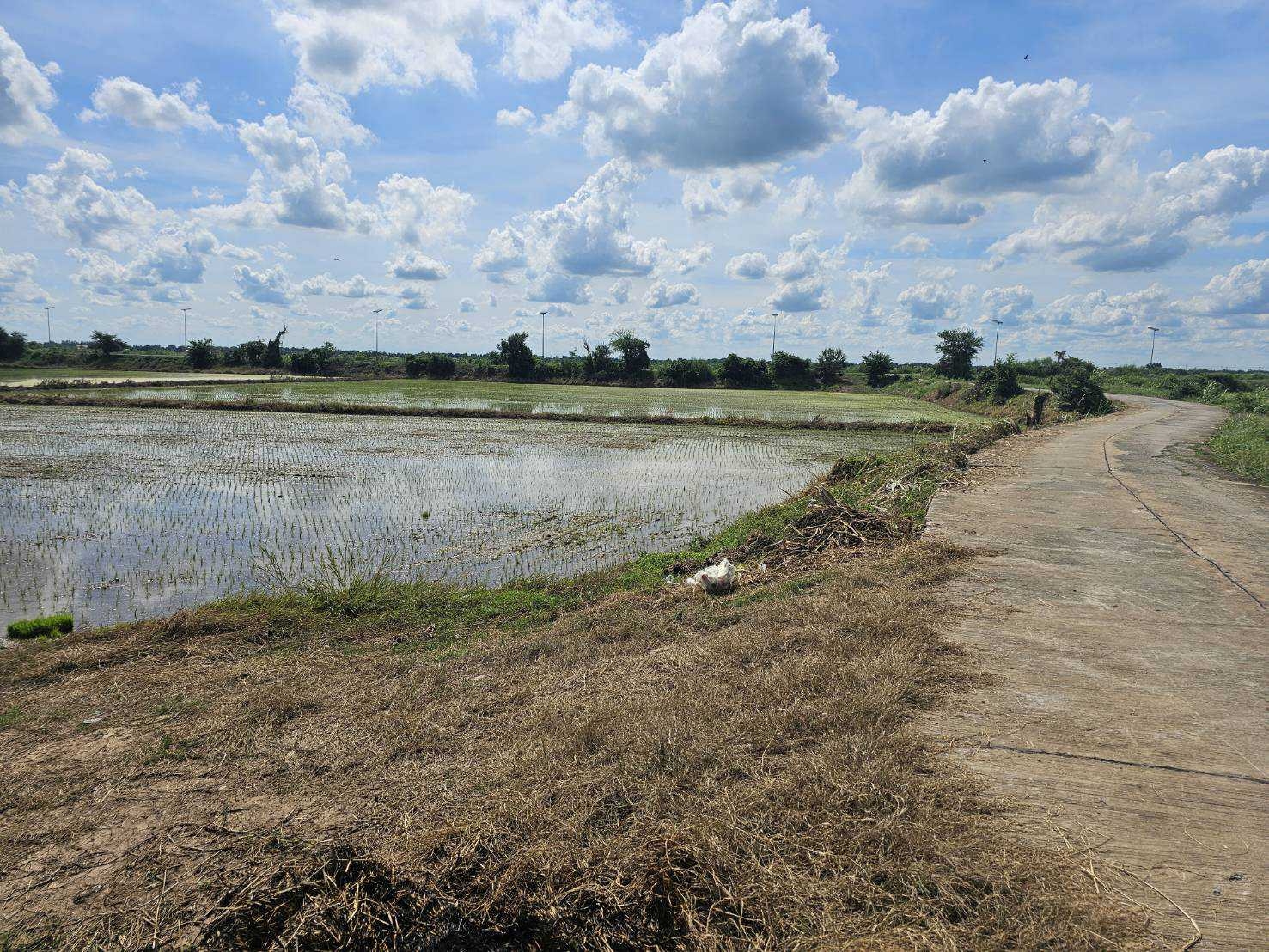 ประกาศฟรี! ซื้อ-ขาย-เช่า คอนโด บ้าน ทาวน์โฮม ที่ดิน และพื้นที่เชิงพาณิชย์ทั่วประเทศไทย ทุกทำเล ทุกงบประมาณ ไม่มีค่าใช้จ่าย ลงง่าย ขายไว เข้าถึงผู้ซื้อโดยตรง 4 318671pic3.jpg