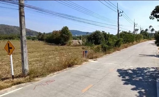 ประกาศฟรี! ซื้อ-ขาย-เช่า คอนโด บ้าน ทาวน์โฮม ที่ดิน และพื้นที่เชิงพาณิชย์ทั่วประเทศไทย ทุกทำเล ทุกงบประมาณ ไม่มีค่าใช้จ่าย ลงง่าย ขายไว เข้าถึงผู้ซื้อโดยตรง 3 318701pic2.jpg