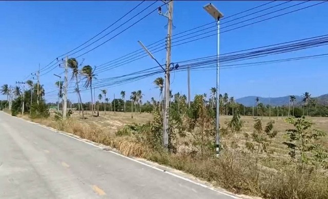 ประกาศฟรี! ซื้อ-ขาย-เช่า คอนโด บ้าน ทาวน์โฮม ที่ดิน และพื้นที่เชิงพาณิชย์ทั่วประเทศไทย ทุกทำเล ทุกงบประมาณ ไม่มีค่าใช้จ่าย ลงง่าย ขายไว เข้าถึงผู้ซื้อโดยตรง 4 318701pic3.jpg