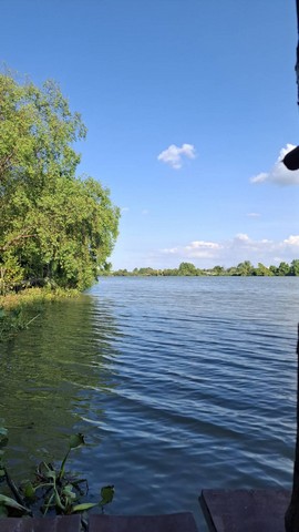 ประกาศฟรี! ซื้อ-ขาย-เช่า คอนโด บ้าน ทาวน์โฮม ที่ดิน และพื้นที่เชิงพาณิชย์ทั่วประเทศไทย ทุกทำเล ทุกงบประมาณ ไม่มีค่าใช้จ่าย ลงง่าย ขายไว เข้าถึงผู้ซื้อโดยตรง 5 243427pic4.jpg