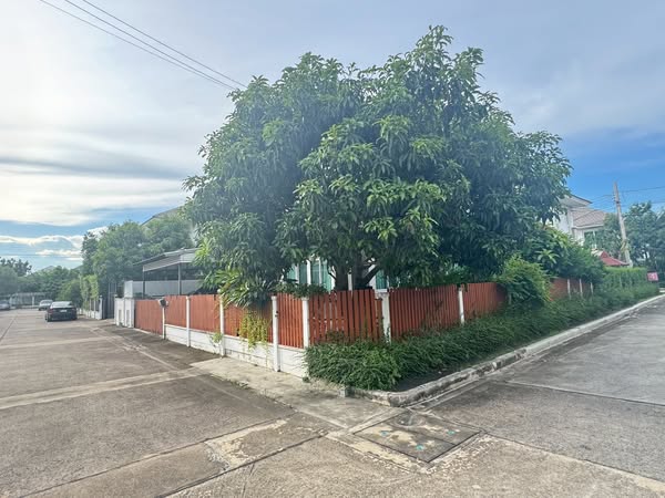 ประกาศฟรี! ซื้อ-ขาย-เช่า คอนโด บ้าน ทาวน์โฮม ที่ดิน และพื้นที่เชิงพาณิชย์ทั่วประเทศไทย ทุกทำเล ทุกงบประมาณ ไม่มีค่าใช้จ่าย ลงง่าย ขายไว เข้าถึงผู้ซื้อโดยตรง 3 301812pic2.jpg