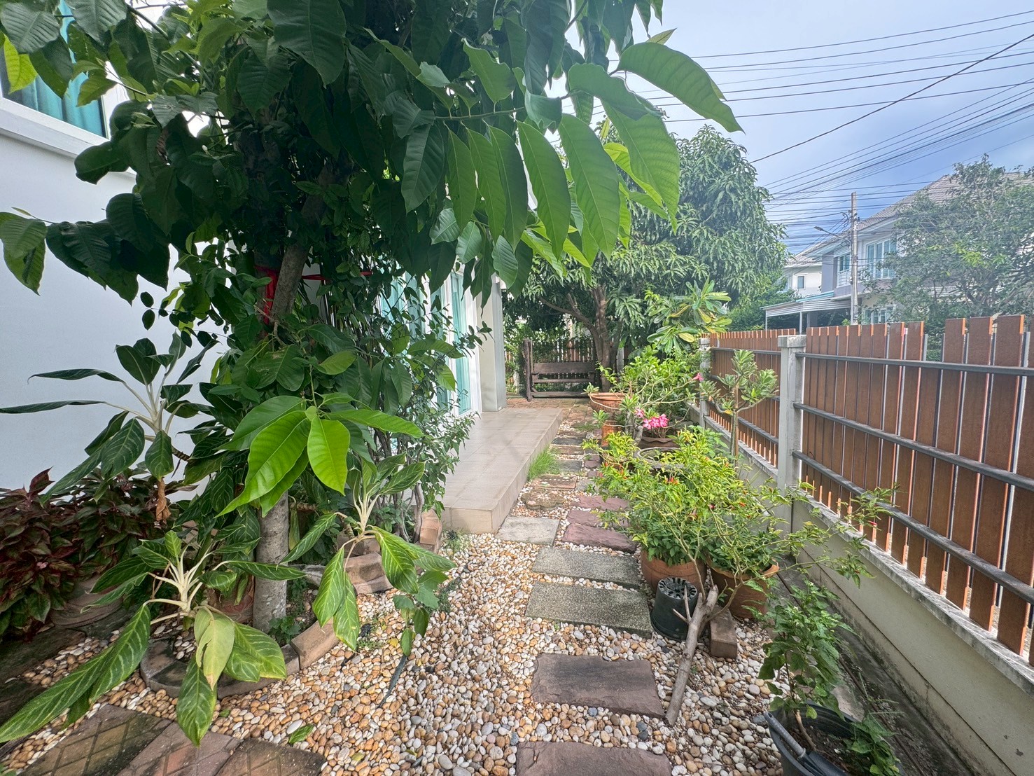 ประกาศฟรี! ซื้อ-ขาย-เช่า คอนโด บ้าน ทาวน์โฮม ที่ดิน และพื้นที่เชิงพาณิชย์ทั่วประเทศไทย ทุกทำเล ทุกงบประมาณ ไม่มีค่าใช้จ่าย ลงง่าย ขายไว เข้าถึงผู้ซื้อโดยตรง 4 301812pic3.jpg