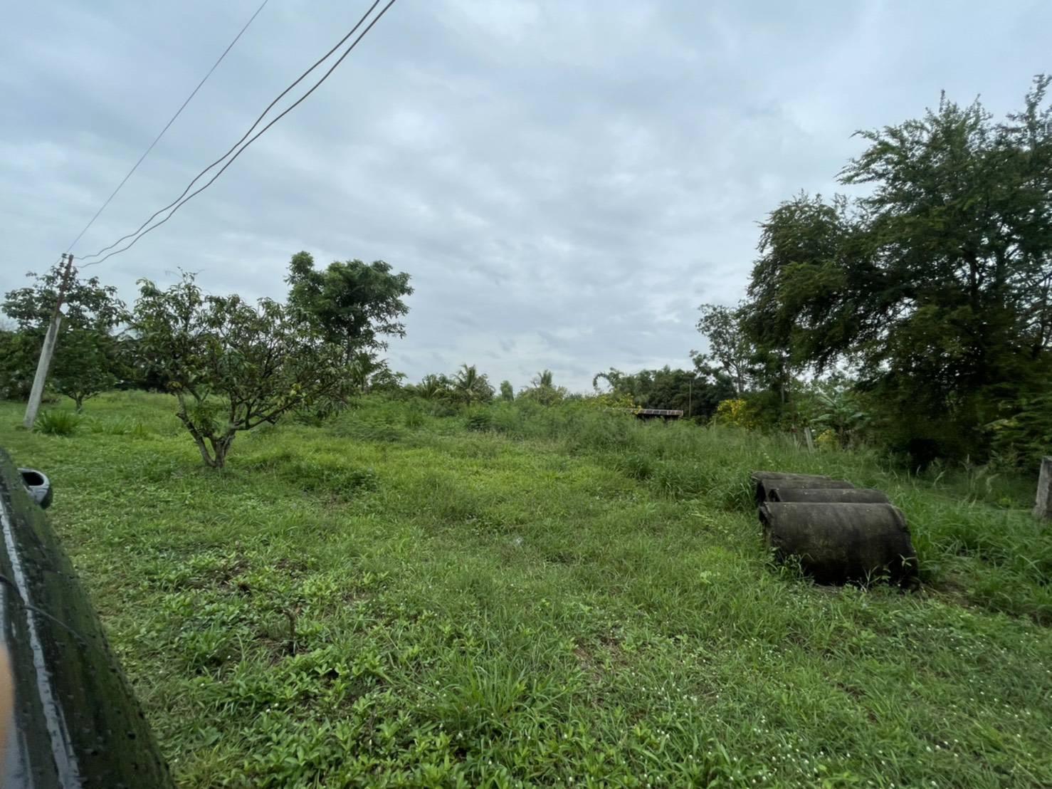 ประกาศฟรี! ซื้อ-ขาย-เช่า คอนโด บ้าน ทาวน์โฮม ที่ดิน และพื้นที่เชิงพาณิชย์ทั่วประเทศไทย ทุกทำเล ทุกงบประมาณ ไม่มีค่าใช้จ่าย ลงง่าย ขายไว เข้าถึงผู้ซื้อโดยตรง 5 297694pic4.jpg