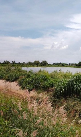 ประกาศฟรี! ซื้อ-ขาย-เช่า คอนโด บ้าน ทาวน์โฮม ที่ดิน และพื้นที่เชิงพาณิชย์ทั่วประเทศไทย ทุกทำเล ทุกงบประมาณ ไม่มีค่าใช้จ่าย ลงง่าย ขายไว เข้าถึงผู้ซื้อโดยตรง 2 208763pic1.jpg