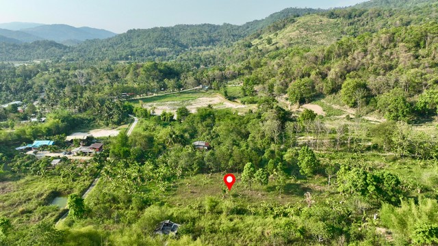 ประกาศฟรี! ซื้อ-ขาย-เช่า คอนโด บ้าน ทาวน์โฮม ที่ดิน และพื้นที่เชิงพาณิชย์ทั่วประเทศไทย ทุกทำเล ทุกงบประมาณ ไม่มีค่าใช้จ่าย ลงง่าย ขายไว เข้าถึงผู้ซื้อโดยตรง 2 262109pic1.jpg