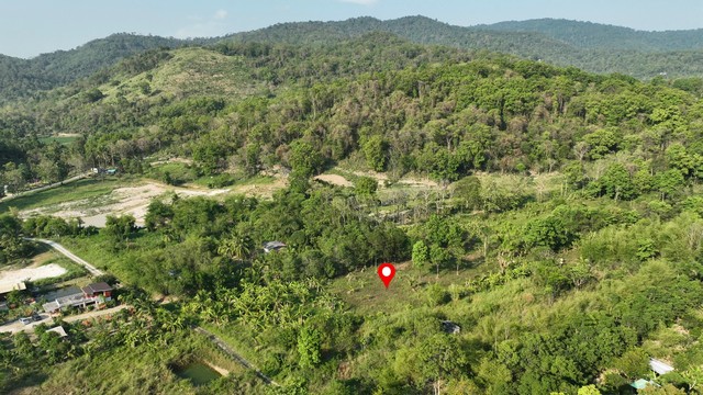 ประกาศฟรี! ซื้อ-ขาย-เช่า คอนโด บ้าน ทาวน์โฮม ที่ดิน และพื้นที่เชิงพาณิชย์ทั่วประเทศไทย ทุกทำเล ทุกงบประมาณ ไม่มีค่าใช้จ่าย ลงง่าย ขายไว เข้าถึงผู้ซื้อโดยตรง 3 262109pic2.jpg