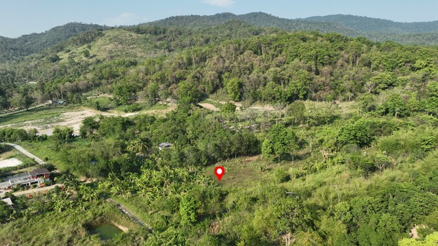 ประกาศฟรี! ซื้อ-ขาย-เช่า คอนโด บ้าน ทาวน์โฮม ที่ดิน และพื้นที่เชิงพาณิชย์ทั่วประเทศไทย ทุกทำเล ทุกงบประมาณ ไม่มีค่าใช้จ่าย ลงง่าย ขายไว เข้าถึงผู้ซื้อโดยตรง 4 262109pic3.jpg