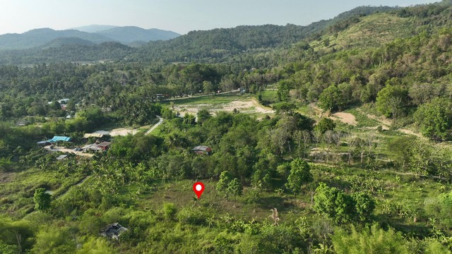 ประกาศฟรี! ซื้อ-ขาย-เช่า คอนโด บ้าน ทาวน์โฮม ที่ดิน และพื้นที่เชิงพาณิชย์ทั่วประเทศไทย ทุกทำเล ทุกงบประมาณ ไม่มีค่าใช้จ่าย ลงง่าย ขายไว เข้าถึงผู้ซื้อโดยตรง 5 262109pic4.jpg