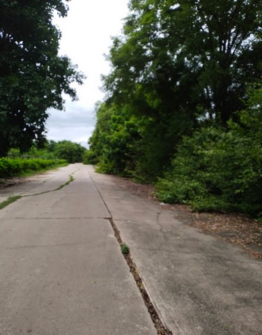 ประกาศฟรี! ซื้อ-ขาย-เช่า คอนโด บ้าน ทาวน์โฮม ที่ดิน และพื้นที่เชิงพาณิชย์ทั่วประเทศไทย ทุกทำเล ทุกงบประมาณ ไม่มีค่าใช้จ่าย ลงง่าย ขายไว เข้าถึงผู้ซื้อโดยตรง 3 167471pic2.jpg