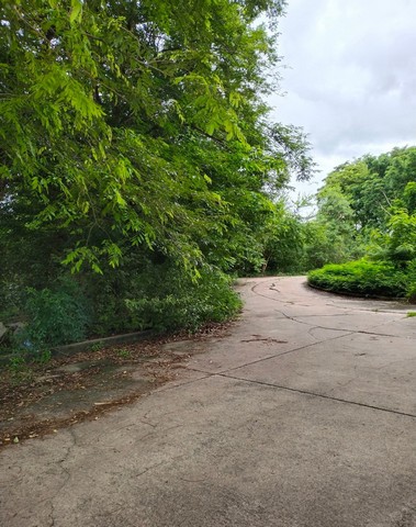 ประกาศฟรี! ซื้อ-ขาย-เช่า คอนโด บ้าน ทาวน์โฮม ที่ดิน และพื้นที่เชิงพาณิชย์ทั่วประเทศไทย ทุกทำเล ทุกงบประมาณ ไม่มีค่าใช้จ่าย ลงง่าย ขายไว เข้าถึงผู้ซื้อโดยตรง 4 167471pic3.jpg