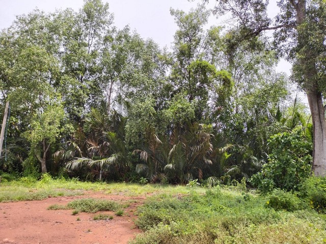 ประกาศฟรี! ซื้อ-ขาย-เช่า คอนโด บ้าน ทาวน์โฮม ที่ดิน และพื้นที่เชิงพาณิชย์ทั่วประเทศไทย ทุกทำเล ทุกงบประมาณ ไม่มีค่าใช้จ่าย ลงง่าย ขายไว เข้าถึงผู้ซื้อโดยตรง 4 165985pic3.jpg