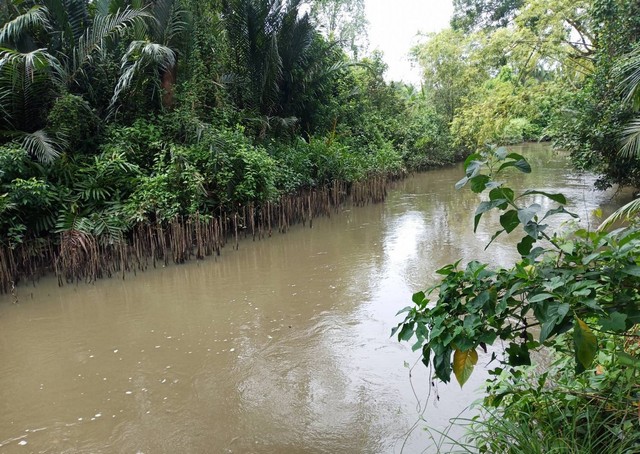 ประกาศฟรี! ซื้อ-ขาย-เช่า คอนโด บ้าน ทาวน์โฮม ที่ดิน และพื้นที่เชิงพาณิชย์ทั่วประเทศไทย ทุกทำเล ทุกงบประมาณ ไม่มีค่าใช้จ่าย ลงง่าย ขายไว เข้าถึงผู้ซื้อโดยตรง 5 144914pic4.jpg