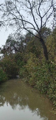 ประกาศฟรี! ซื้อ-ขาย-เช่า คอนโด บ้าน ทาวน์โฮม ที่ดิน และพื้นที่เชิงพาณิชย์ทั่วประเทศไทย ทุกทำเล ทุกงบประมาณ ไม่มีค่าใช้จ่าย ลงง่าย ขายไว เข้าถึงผู้ซื้อโดยตรง 5 144877pic4.jpg