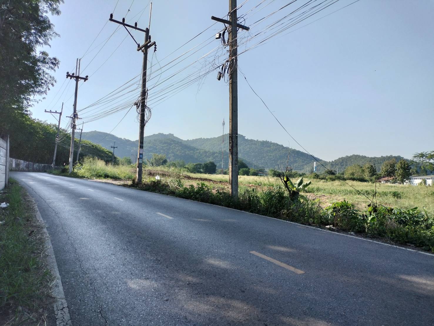 ประกาศฟรี! ซื้อ-ขาย-เช่า คอนโด บ้าน ทาวน์โฮม ที่ดิน และพื้นที่เชิงพาณิชย์ทั่วประเทศไทย ทุกทำเล ทุกงบประมาณ ไม่มีค่าใช้จ่าย ลงง่าย ขายไว เข้าถึงผู้ซื้อโดยตรง 2 279867pic1.jpg