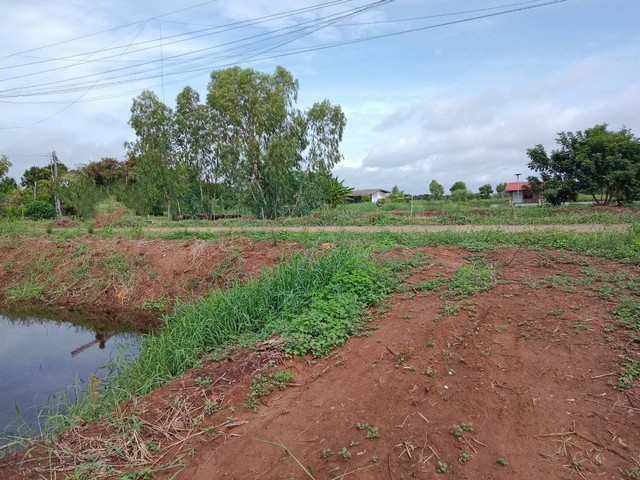 ประกาศฟรี! ซื้อ-ขาย-เช่า คอนโด บ้าน ทาวน์โฮม ที่ดิน และพื้นที่เชิงพาณิชย์ทั่วประเทศไทย ทุกทำเล ทุกงบประมาณ ไม่มีค่าใช้จ่าย ลงง่าย ขายไว เข้าถึงผู้ซื้อโดยตรง 5 120927pic4.jpg