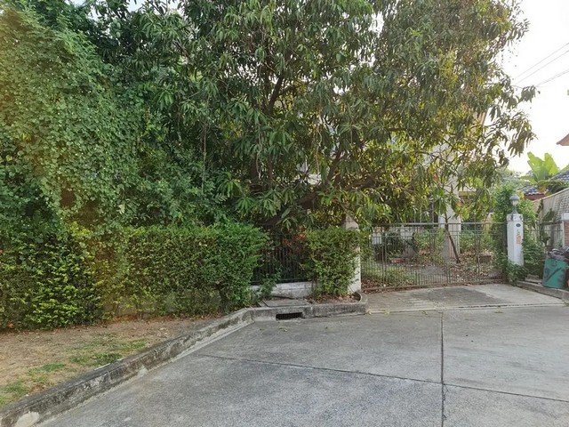 ประกาศฟรี! ซื้อ-ขาย-เช่า คอนโด บ้าน ทาวน์โฮม ที่ดิน และพื้นที่เชิงพาณิชย์ทั่วประเทศไทย ทุกทำเล ทุกงบประมาณ ไม่มีค่าใช้จ่าย ลงง่าย ขายไว เข้าถึงผู้ซื้อโดยตรง 5 262073pic4.jpg