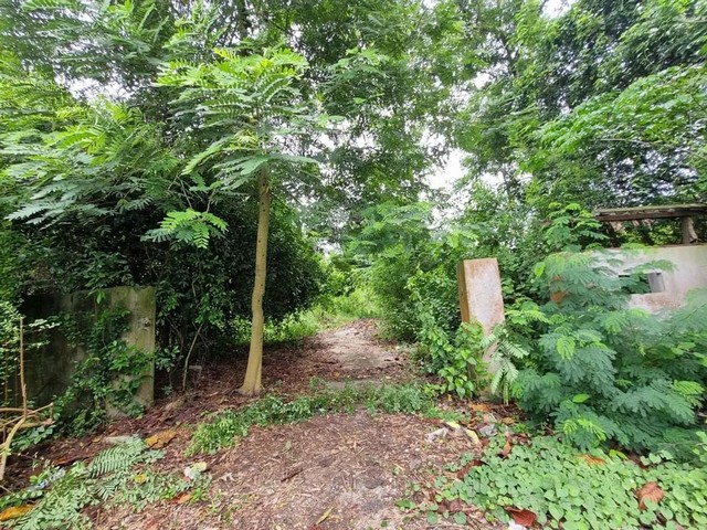 ประกาศฟรี! ซื้อ-ขาย-เช่า คอนโด บ้าน ทาวน์โฮม ที่ดิน และพื้นที่เชิงพาณิชย์ทั่วประเทศไทย ทุกทำเล ทุกงบประมาณ ไม่มีค่าใช้จ่าย ลงง่าย ขายไว เข้าถึงผู้ซื้อโดยตรง 3 262071pic2.jpg