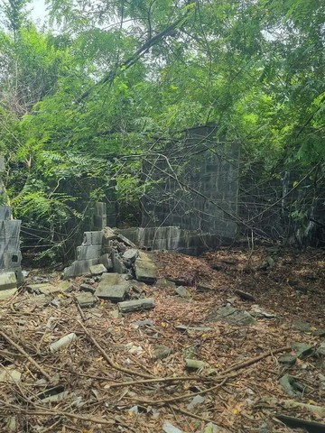 ประกาศฟรี! ซื้อ-ขาย-เช่า คอนโด บ้าน ทาวน์โฮม ที่ดิน และพื้นที่เชิงพาณิชย์ทั่วประเทศไทย ทุกทำเล ทุกงบประมาณ ไม่มีค่าใช้จ่าย ลงง่าย ขายไว เข้าถึงผู้ซื้อโดยตรง 5 262071pic4.jpg