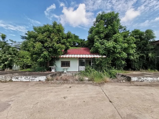 ประกาศฟรี! ซื้อ-ขาย-เช่า คอนโด บ้าน ทาวน์โฮม ที่ดิน และพื้นที่เชิงพาณิชย์ทั่วประเทศไทย ทุกทำเล ทุกงบประมาณ ไม่มีค่าใช้จ่าย ลงง่าย ขายไว เข้าถึงผู้ซื้อโดยตรง 4 262046pic3.jpg