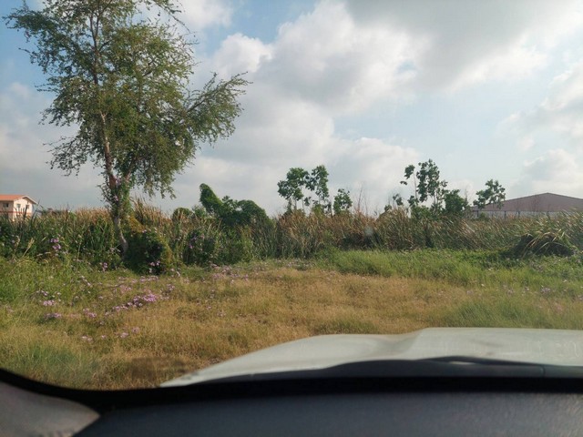 ประกาศฟรี! ซื้อ-ขาย-เช่า คอนโด บ้าน ทาวน์โฮม ที่ดิน และพื้นที่เชิงพาณิชย์ทั่วประเทศไทย ทุกทำเล ทุกงบประมาณ ไม่มีค่าใช้จ่าย ลงง่าย ขายไว เข้าถึงผู้ซื้อโดยตรง 4 262173pic3.jpg