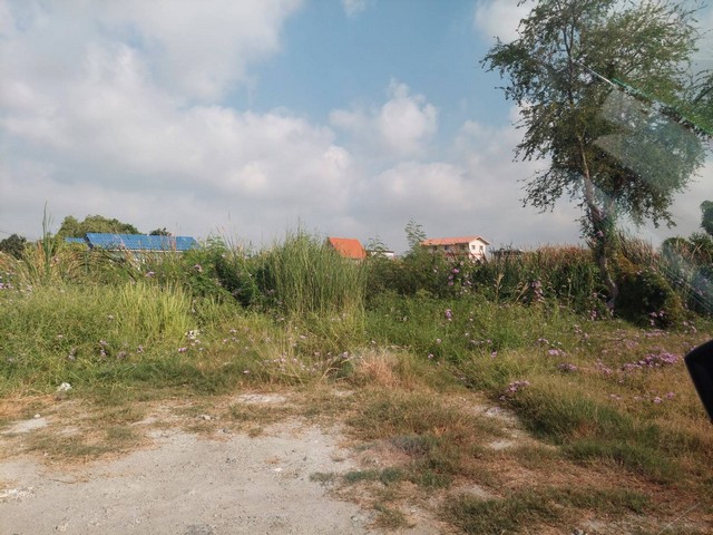 ประกาศฟรี! ซื้อ-ขาย-เช่า คอนโด บ้าน ทาวน์โฮม ที่ดิน และพื้นที่เชิงพาณิชย์ทั่วประเทศไทย ทุกทำเล ทุกงบประมาณ ไม่มีค่าใช้จ่าย ลงง่าย ขายไว เข้าถึงผู้ซื้อโดยตรง 5 262173pic4.jpg