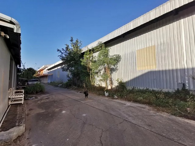 ประกาศฟรี! ซื้อ-ขาย-เช่า คอนโด บ้าน ทาวน์โฮม ที่ดิน และพื้นที่เชิงพาณิชย์ทั่วประเทศไทย ทุกทำเล ทุกงบประมาณ ไม่มีค่าใช้จ่าย ลงง่าย ขายไว เข้าถึงผู้ซื้อโดยตรง 3 262082pic2.jpg