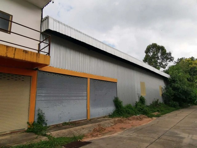 ประกาศฟรี! ซื้อ-ขาย-เช่า คอนโด บ้าน ทาวน์โฮม ที่ดิน และพื้นที่เชิงพาณิชย์ทั่วประเทศไทย ทุกทำเล ทุกงบประมาณ ไม่มีค่าใช้จ่าย ลงง่าย ขายไว เข้าถึงผู้ซื้อโดยตรง 5 262082pic4.jpg