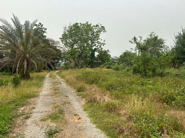 ประกาศฟรี! ซื้อ-ขาย-เช่า คอนโด บ้าน ทาวน์โฮม ที่ดิน และพื้นที่เชิงพาณิชย์ทั่วประเทศไทย ทุกทำเล ทุกงบประมาณ ไม่มีค่าใช้จ่าย ลงง่าย ขายไว เข้าถึงผู้ซื้อโดยตรง 3 260987pic2.jpg