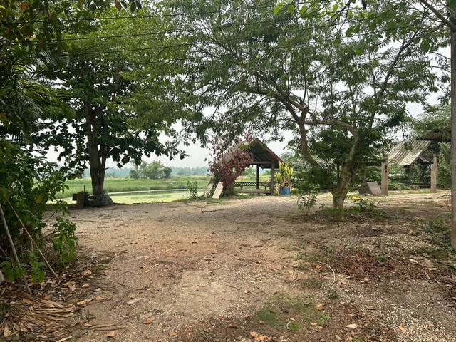 ประกาศฟรี! ซื้อ-ขาย-เช่า คอนโด บ้าน ทาวน์โฮม ที่ดิน และพื้นที่เชิงพาณิชย์ทั่วประเทศไทย ทุกทำเล ทุกงบประมาณ ไม่มีค่าใช้จ่าย ลงง่าย ขายไว เข้าถึงผู้ซื้อโดยตรง 4 260987pic3.jpg