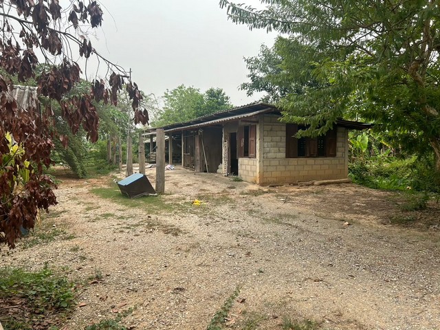 ประกาศฟรี! ซื้อ-ขาย-เช่า คอนโด บ้าน ทาวน์โฮม ที่ดิน และพื้นที่เชิงพาณิชย์ทั่วประเทศไทย ทุกทำเล ทุกงบประมาณ ไม่มีค่าใช้จ่าย ลงง่าย ขายไว เข้าถึงผู้ซื้อโดยตรง 5 260987pic4.jpg