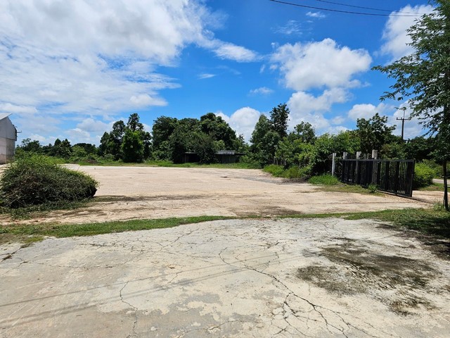 ประกาศฟรี! ซื้อ-ขาย-เช่า คอนโด บ้าน ทาวน์โฮม ที่ดิน และพื้นที่เชิงพาณิชย์ทั่วประเทศไทย ทุกทำเล ทุกงบประมาณ ไม่มีค่าใช้จ่าย ลงง่าย ขายไว เข้าถึงผู้ซื้อโดยตรง 2 260965pic1.jpg