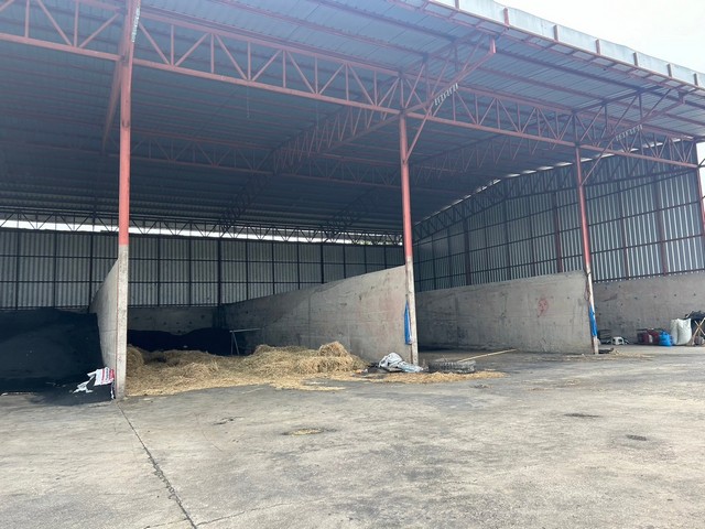 ประกาศฟรี! ซื้อ-ขาย-เช่า คอนโด บ้าน ทาวน์โฮม ที่ดิน และพื้นที่เชิงพาณิชย์ทั่วประเทศไทย ทุกทำเล ทุกงบประมาณ ไม่มีค่าใช้จ่าย ลงง่าย ขายไว เข้าถึงผู้ซื้อโดยตรง 3 260964pic2.jpg