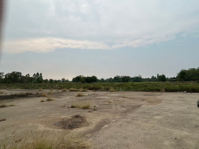 ประกาศฟรี! ซื้อ-ขาย-เช่า คอนโด บ้าน ทาวน์โฮม ที่ดิน และพื้นที่เชิงพาณิชย์ทั่วประเทศไทย ทุกทำเล ทุกงบประมาณ ไม่มีค่าใช้จ่าย ลงง่าย ขายไว เข้าถึงผู้ซื้อโดยตรง 4 260964pic3.jpg