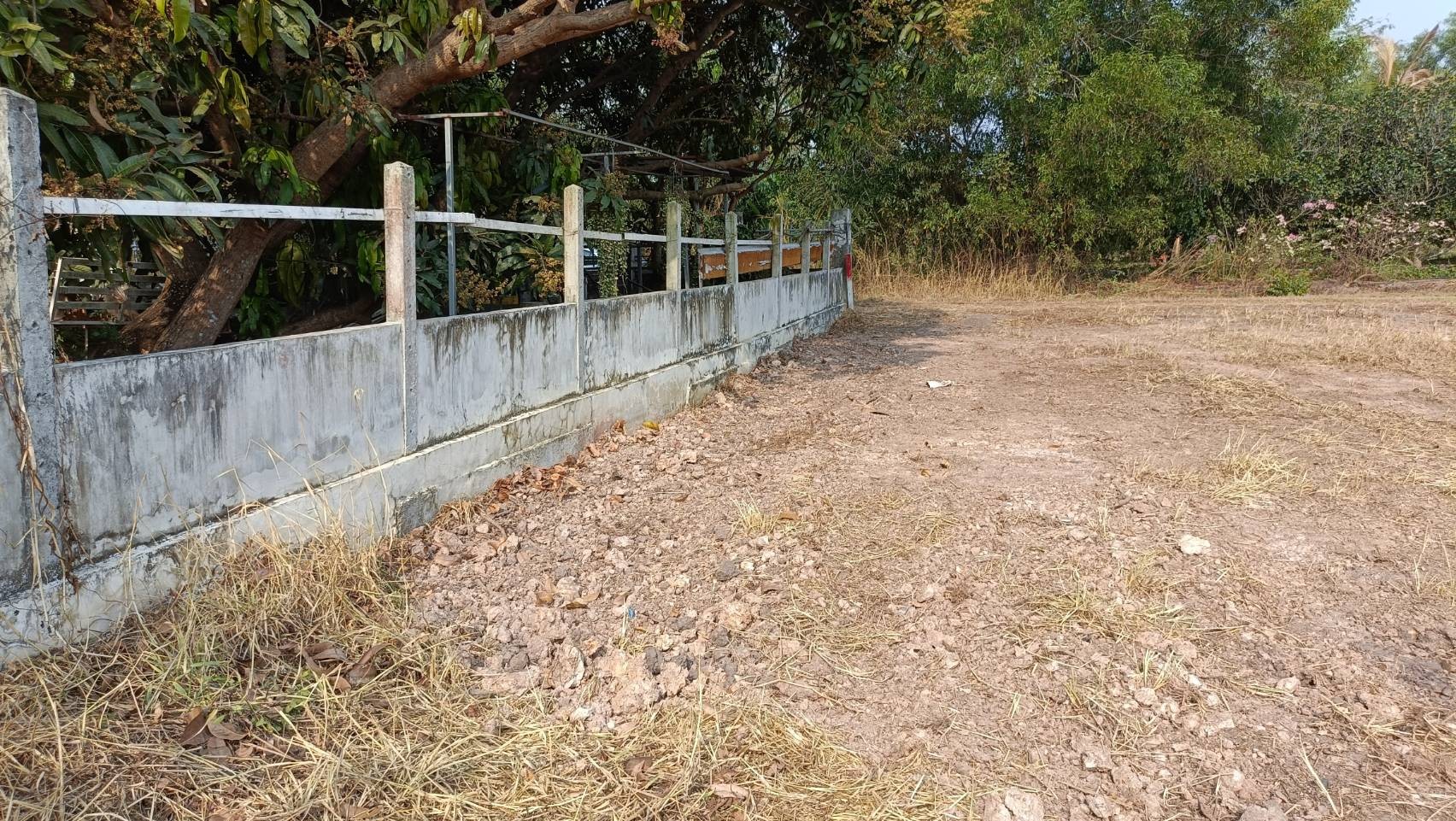 ประกาศฟรี! ซื้อ-ขาย-เช่า คอนโด บ้าน ทาวน์โฮม ที่ดิน และพื้นที่เชิงพาณิชย์ทั่วประเทศไทย ทุกทำเล ทุกงบประมาณ ไม่มีค่าใช้จ่าย ลงง่าย ขายไว เข้าถึงผู้ซื้อโดยตรง 4 318770pic3.jpg