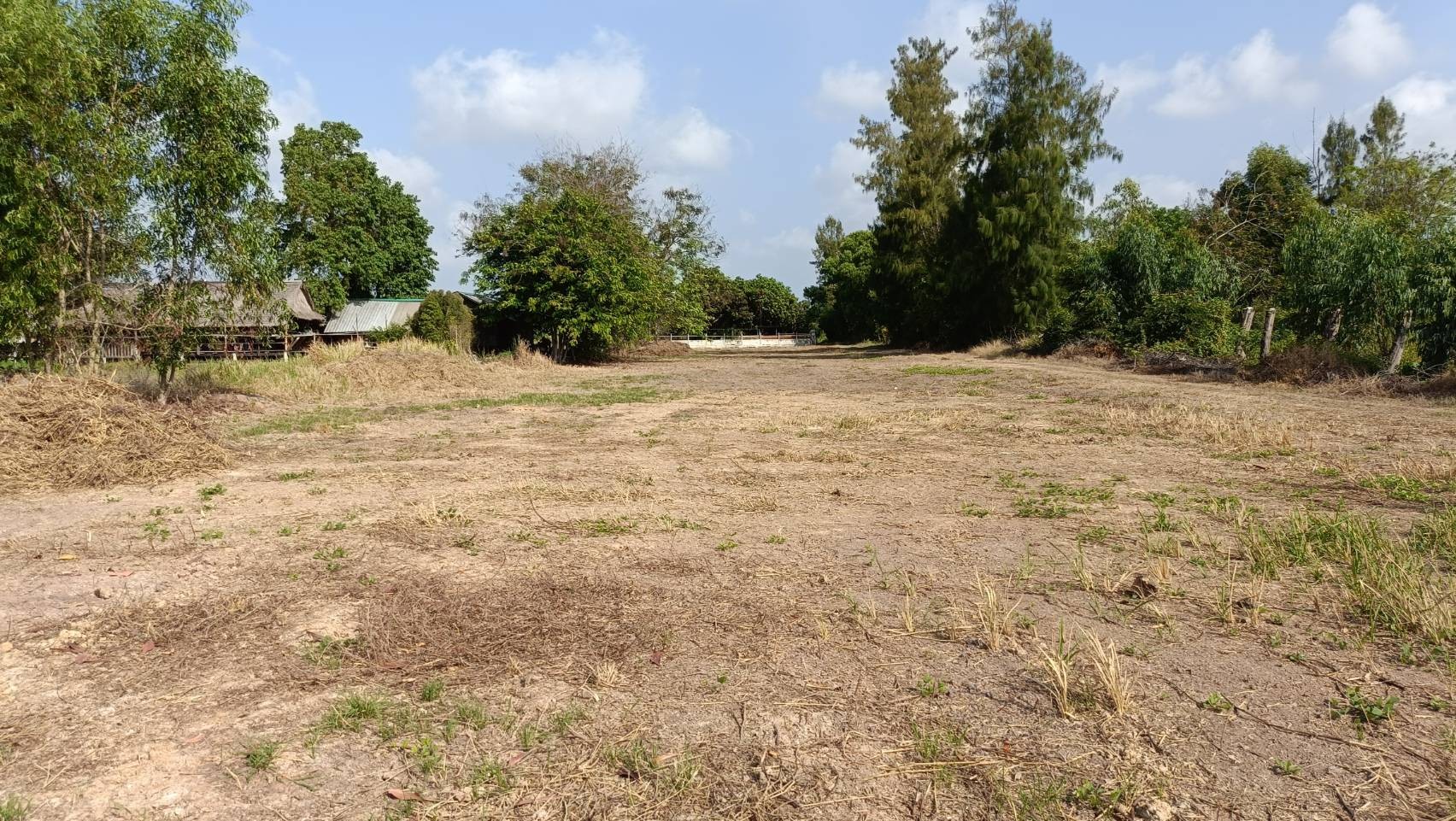 ประกาศฟรี! ซื้อ-ขาย-เช่า คอนโด บ้าน ทาวน์โฮม ที่ดิน และพื้นที่เชิงพาณิชย์ทั่วประเทศไทย ทุกทำเล ทุกงบประมาณ ไม่มีค่าใช้จ่าย ลงง่าย ขายไว เข้าถึงผู้ซื้อโดยตรง 5 318770pic4.jpg