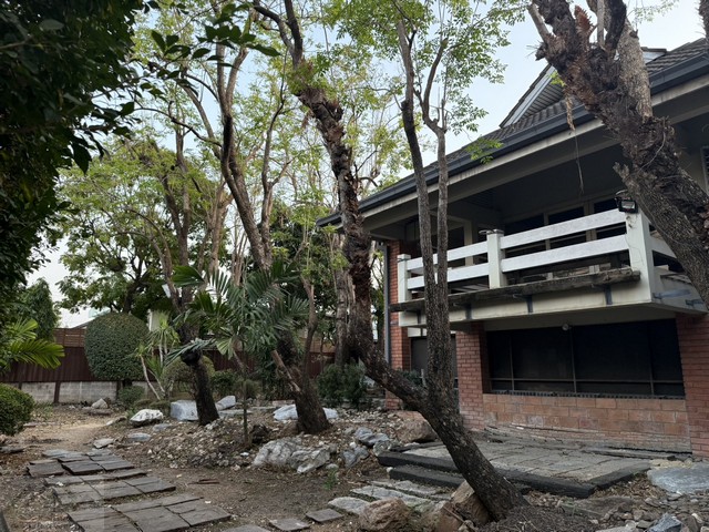 ประกาศฟรี! ซื้อ-ขาย-เช่า คอนโด บ้าน ทาวน์โฮม ที่ดิน และพื้นที่เชิงพาณิชย์ทั่วประเทศไทย ทุกทำเล ทุกงบประมาณ ไม่มีค่าใช้จ่าย ลงง่าย ขายไว เข้าถึงผู้ซื้อโดยตรง 4 521568pic3.jpg