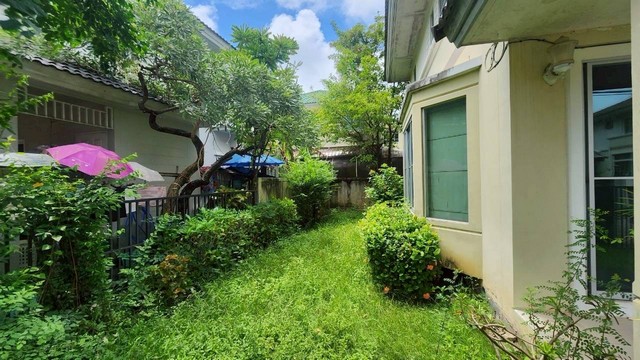 ประกาศฟรี! ซื้อ-ขาย-เช่า คอนโด บ้าน ทาวน์โฮม ที่ดิน และพื้นที่เชิงพาณิชย์ทั่วประเทศไทย ทุกทำเล ทุกงบประมาณ ไม่มีค่าใช้จ่าย ลงง่าย ขายไว เข้าถึงผู้ซื้อโดยตรง 3 262183pic2.jpg