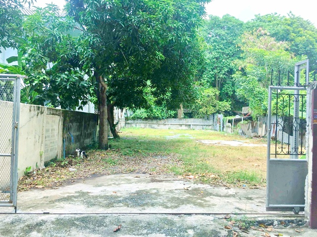 ประกาศฟรี! ซื้อ-ขาย-เช่า คอนโด บ้าน ทาวน์โฮม ที่ดิน และพื้นที่เชิงพาณิชย์ทั่วประเทศไทย ทุกทำเล ทุกงบประมาณ ไม่มีค่าใช้จ่าย ลงง่าย ขายไว เข้าถึงผู้ซื้อโดยตรง 2 262154pic1.jpg